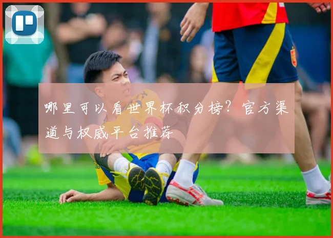 哪里可以看世界杯积分榜?官方渠道与权威平台推荐
