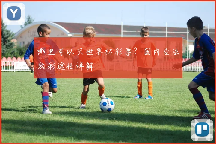 哪里可以买世界杯彩票？国内合法购彩途径详解