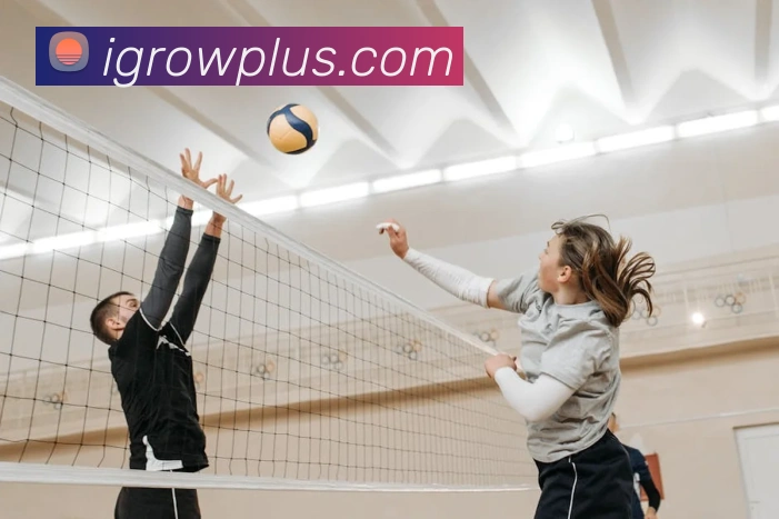 App Interface Preview