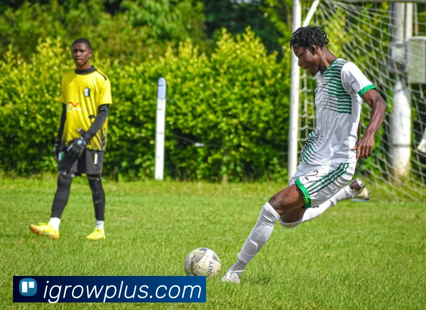 数据防护可视化